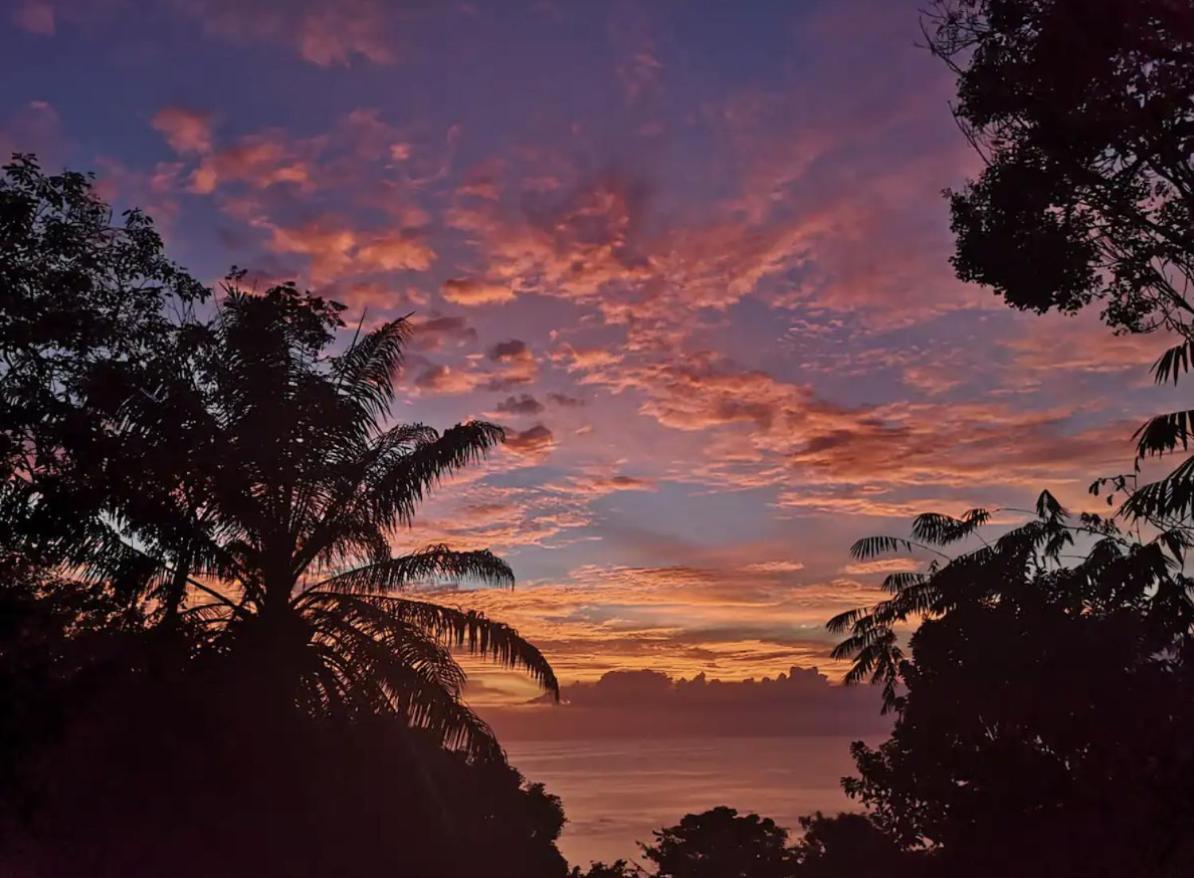 Mizaru Ocean View Hotel Manuel Antonio Quepos Exterior foto